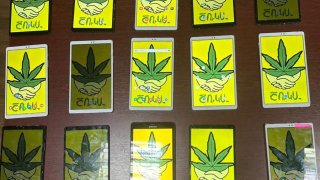 Case of Large-Scale Online Illegal Turnover of Narcotic Drugs and for this Purpose, Launching a Separate Process Management System, Money Laundering, Committed by Spouses, Disclosed; Charge Pressed against Them (photos)